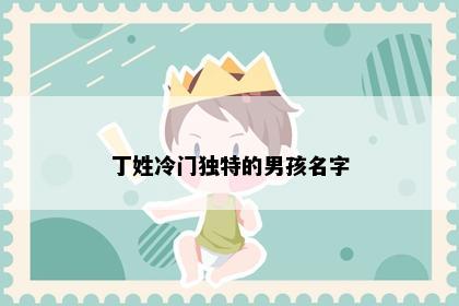 丁姓冷门独特的男孩名字