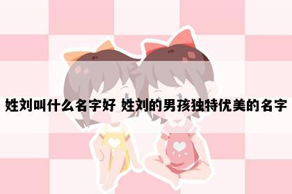 姓刘叫什么名字好 姓刘的男孩独特优美的名字